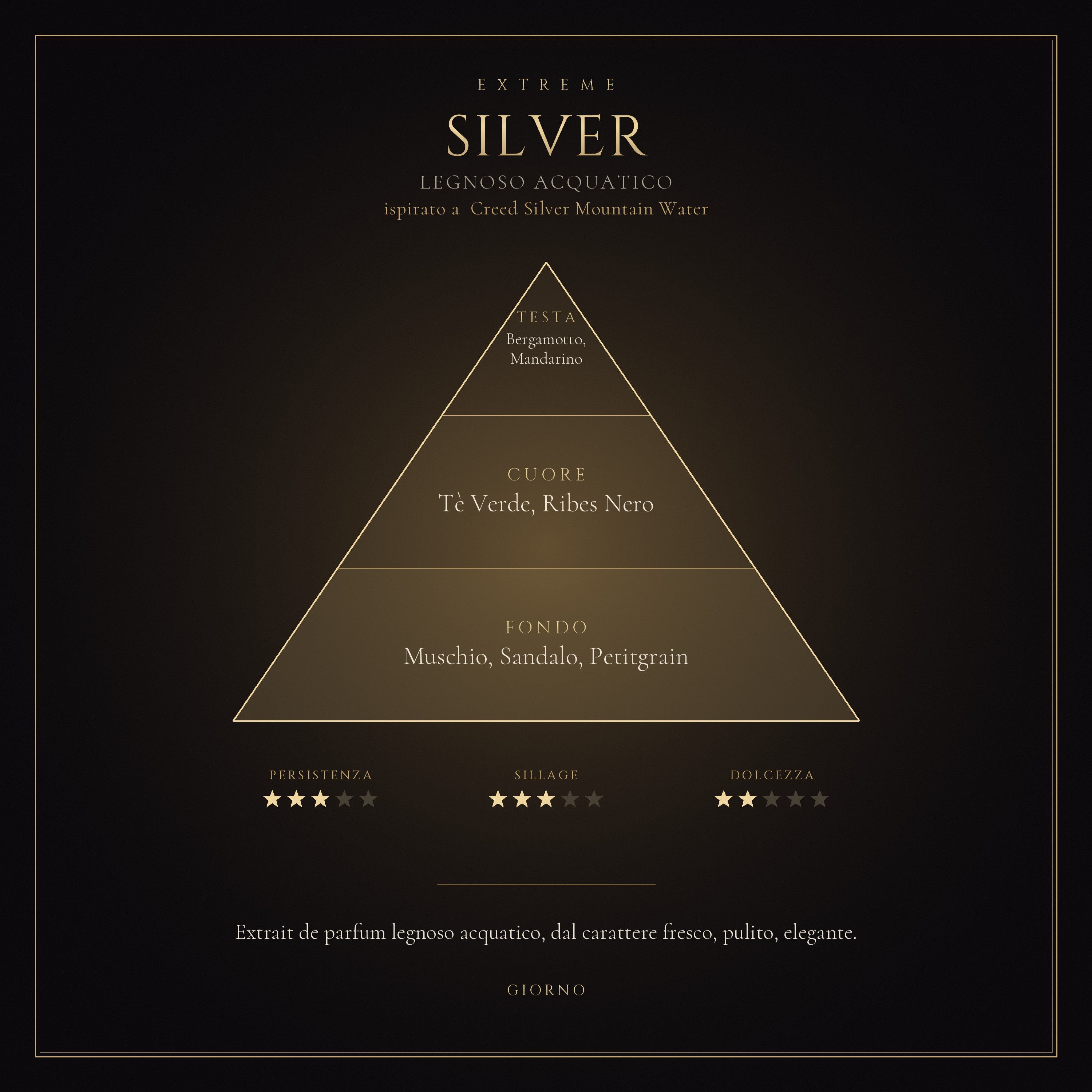 SILVER mockup prodotto